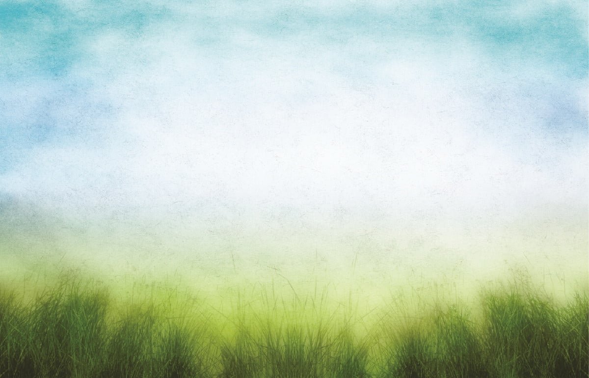 fundo-fotografico-em-tecido-paisagem-2-60x1-50m-fundos-newborn-17